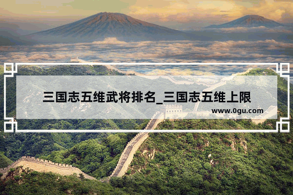 三国志五维武将排名_三国志五维上限