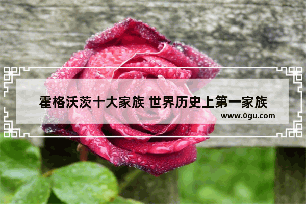 霍格沃茨十大家族 世界历史上第一家族