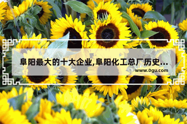 阜阳最大的十大企业,阜阳化工总厂历史人物