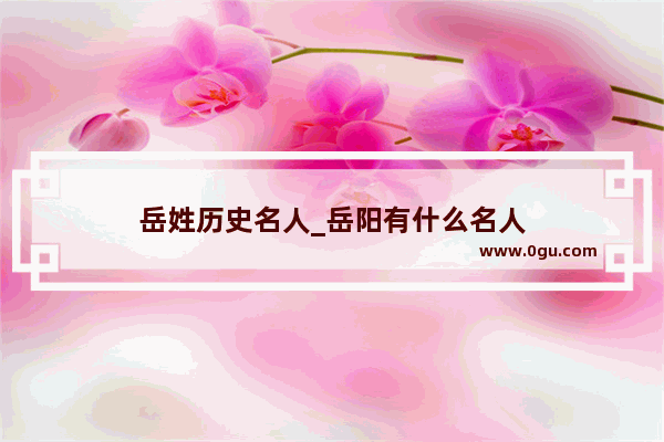 岳姓历史名人_岳阳有什么名人