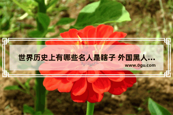 世界历史上有哪些名人是瞎子 外国黑人的历史人物