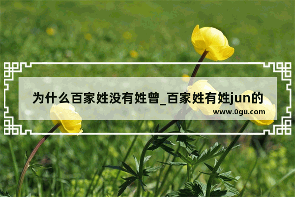 为什么百家姓没有姓曾_百家姓有姓jun的吗