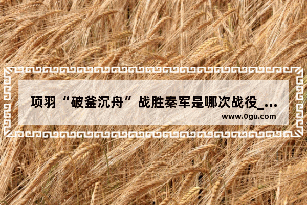 项羽“破釜沉舟”战胜秦军是哪次战役_台儿庄战役和百团大战两次战役的重大历史意义