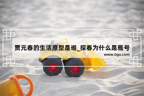 贾元春的生活原型是谁_探春为什么是雅号