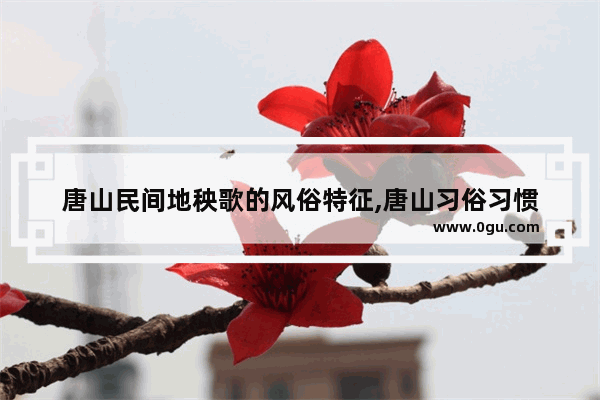 唐山民间地秧歌的风俗特征,唐山习俗习惯