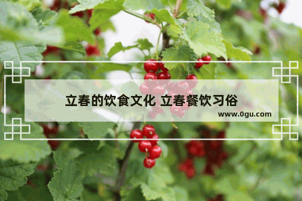 立春的饮食文化 立春餐饮习俗