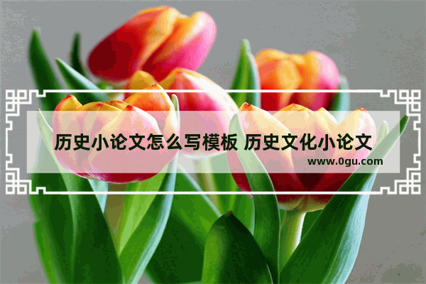 历史小论文怎么写模板 历史文化小论文