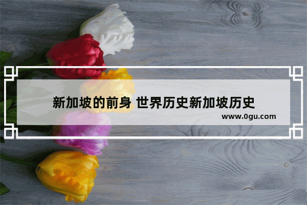 新加坡的前身 世界历史新加坡历史