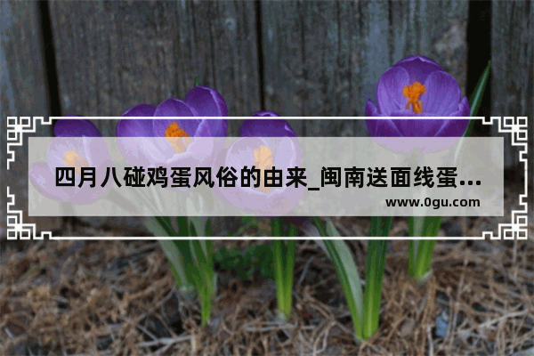 四月八碰鸡蛋风俗的由来_闽南送面线蛋有什么讲究