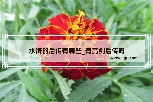 水浒的后传有哪些_有亮剑后传吗