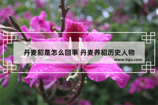 丹麦貂是怎么回事 丹麦养貂历史人物