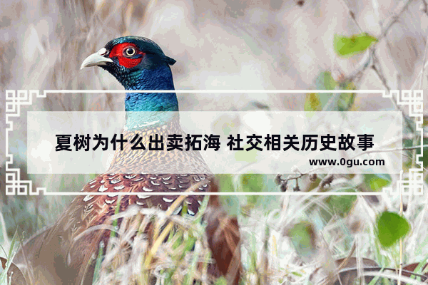 夏树为什么出卖拓海 社交相关历史故事