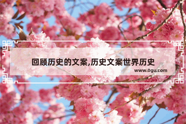 回顾历史的文案,历史文案世界历史