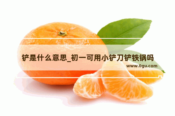 铲是什么意思_初一可用小铲刀铲铁锅吗