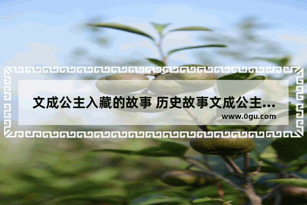 文成公主入藏的故事 历史故事文成公主进藏