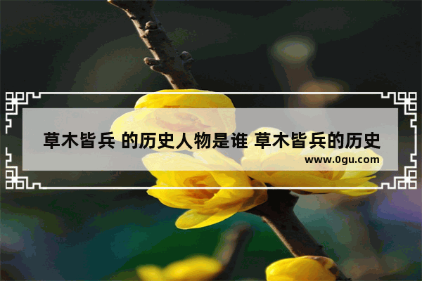 草木皆兵 的历史人物是谁 草木皆兵的历史人物评价