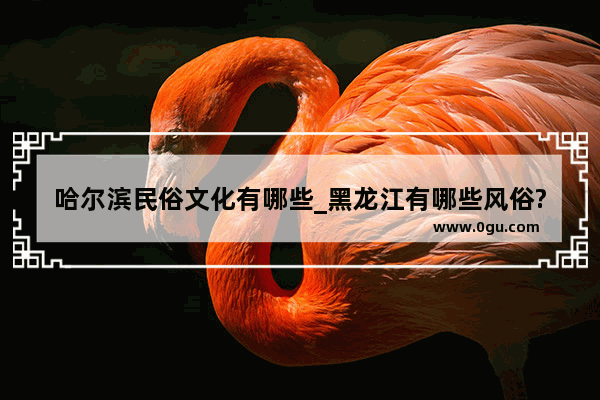 哈尔滨民俗文化有哪些_黑龙江有哪些风俗?放鞭炮