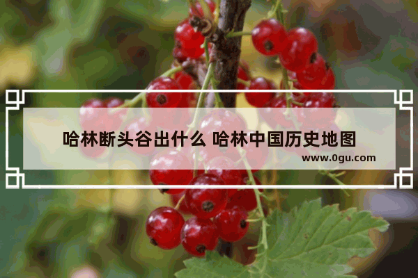 哈林断头谷出什么 哈林中国历史地图