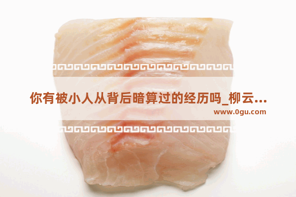 你有被小人从背后暗算过的经历吗_柳云龙暗算三部曲剧情介绍