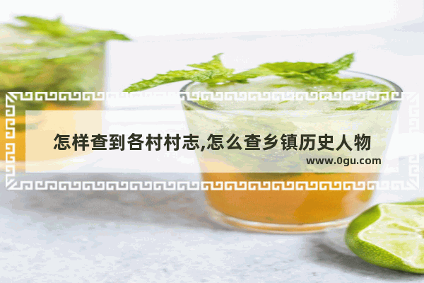 怎样查到各村村志,怎么查乡镇历史人物
