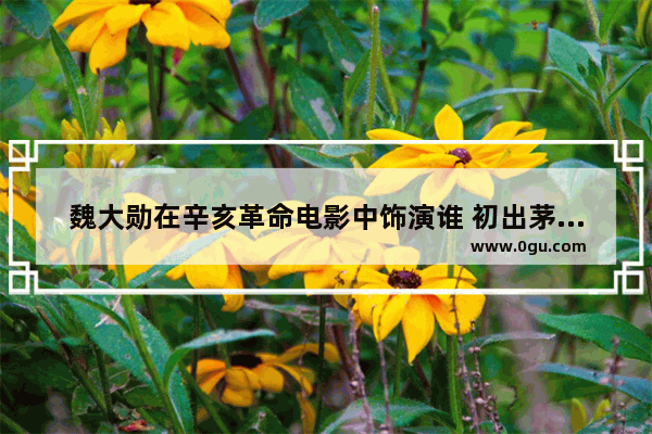 魏大勋在辛亥革命电影中饰演谁 初出茅庐的历史人物传记