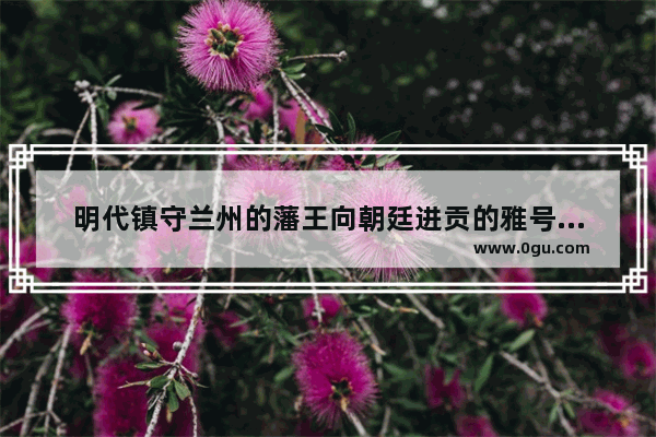 明代镇守兰州的藩王向朝廷进贡的雅号叫做“银丝”的东西是什么_兰州送礼特色攻略