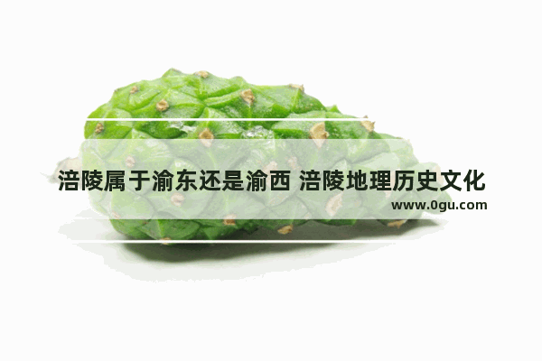 涪陵属于渝东还是渝西 涪陵地理历史文化