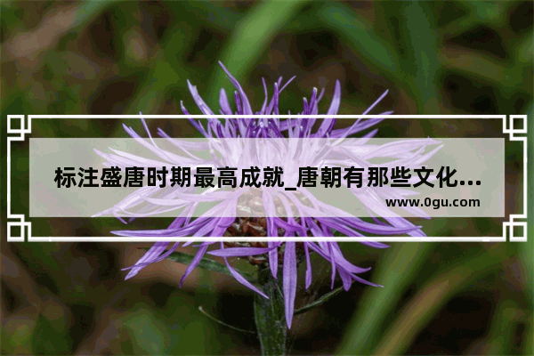 标注盛唐时期最高成就_唐朝有那些文化现象