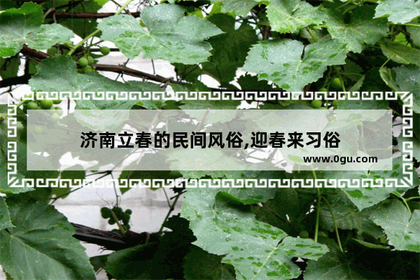 济南立春的民间风俗,迎春来习俗