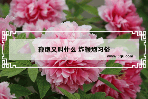 鞭炮又叫什么 炸鞭炮习俗
