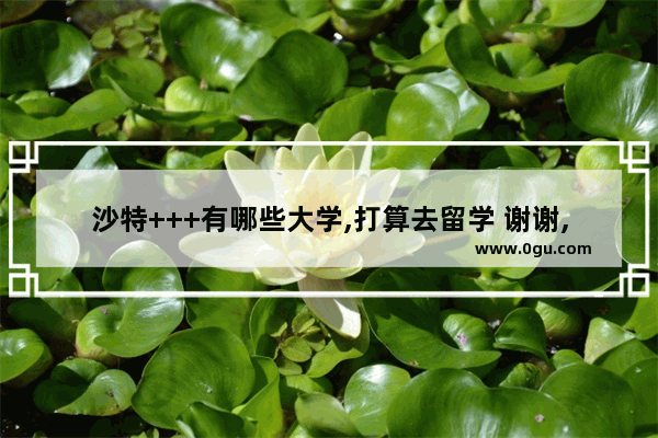 沙特+++有哪些大学,打算去留学 谢谢,卡塔尔斋戒习俗