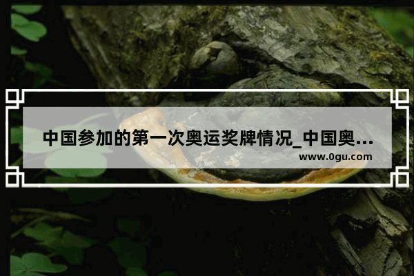 中国参加的第一次奥运奖牌情况_中国奥运会第一个金牌是谁拿的