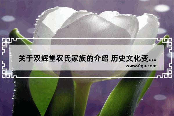 关于双辉堂农氏家族的介绍 历史文化变迁的缩影