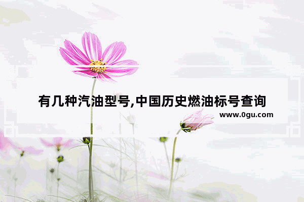 有几种汽油型号,中国历史燃油标号查询