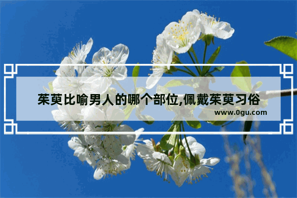 茱萸比喻男人的哪个部位,佩戴茱萸习俗