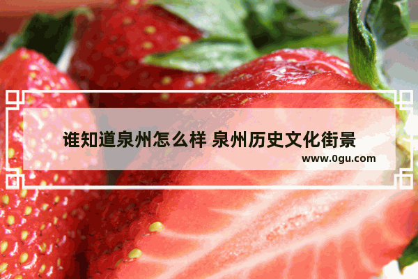 谁知道泉州怎么样 泉州历史文化街景