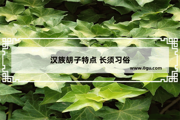 汉族胡子特点 长须习俗