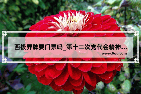 西极界牌要门票吗_第十二次党代会精神内容是什么
