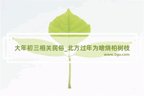 大年初三相关民俗_北方过年为啥烧柏树枝