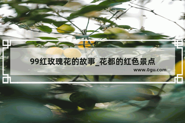 99红玫瑰花的故事_花都的红色景点