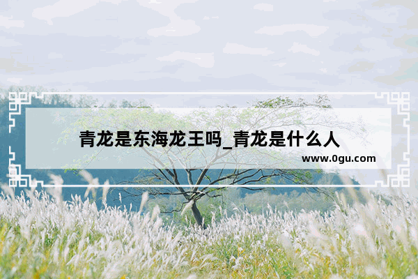 青龙是东海龙王吗_青龙是什么人