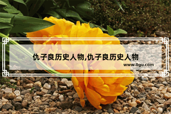 仇子良历史人物,仇子良历史人物