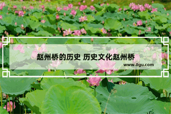 赵州桥的历史 历史文化赵州桥