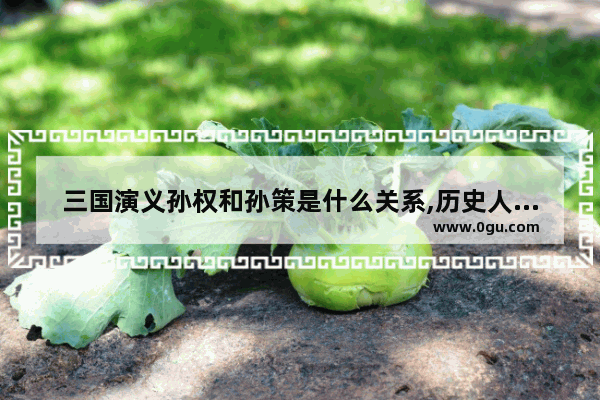 三国演义孙权和孙策是什么关系,历史人物孙策和孙权