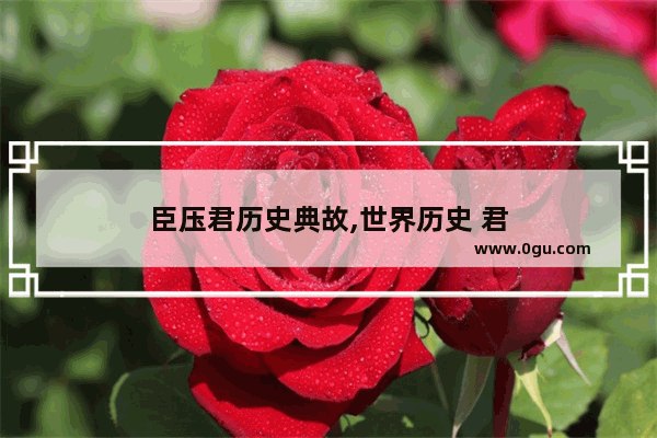 臣压君历史典故,世界历史 君