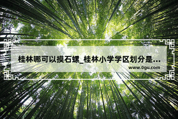 桂林哪可以摸石螺_桂林小学学区划分是怎样的