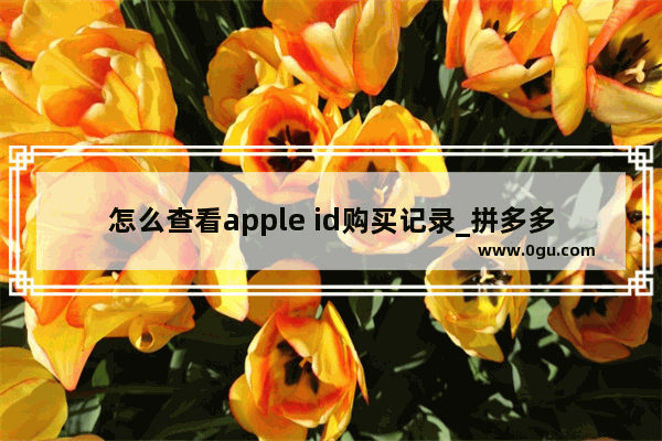 怎么查看apple id购买记录_拼多多如何查看历史账单
