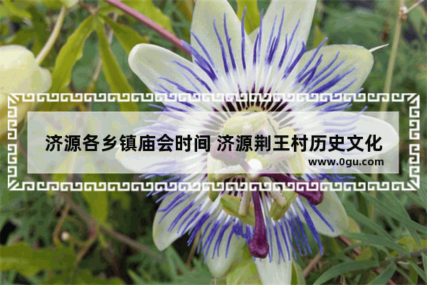 济源各乡镇庙会时间 济源荆王村历史文化