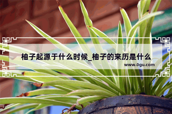 柚子起源于什么时候_柚子的来历是什么