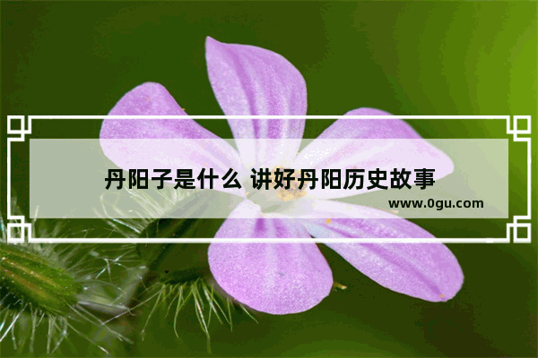 丹阳子是什么 讲好丹阳历史故事